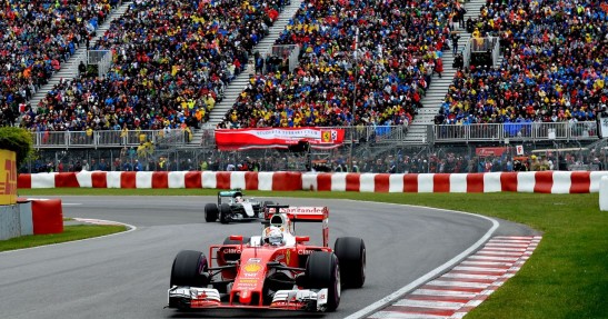 Vettel hamował przed mewami