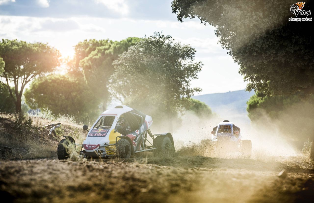 Carlos Sainz Sr vs Carlos Sainz Jr