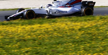 Williams usprawiedliwia Strolla. 