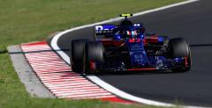 Kwiat wraca do skadu Toro Rosso