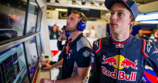 Marko uważa Kwiata za większy talent od Gasly'ego i Hartleya