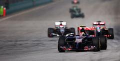 Toro Rosso: Kwiat ma DNA mistrza wiata F1