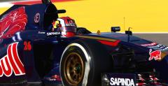 Toro Rosso: Kwiat ma DNA mistrza wiata F1