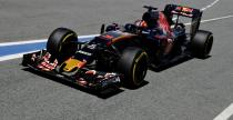 Kwiat pokada nadzieje w dopasowaniu sobie bolidu Toro Rosso