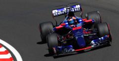 Kwiat faworytem do Toro Rosso