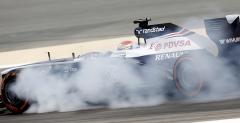 Sutil: Maldonado yje we wanym wiecie