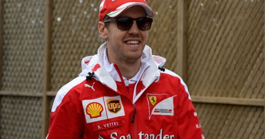 Vettel hamował przed mewami