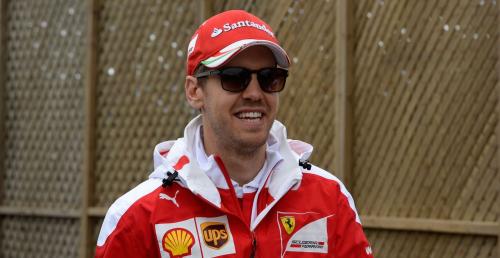 Vettel hamował przed mewami