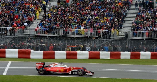 Vettel hamował przed mewami