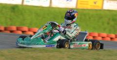 Vettel wrci do kartingu