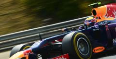 Newey: Webber lepszy od Vettela w wyczuciu bolidu