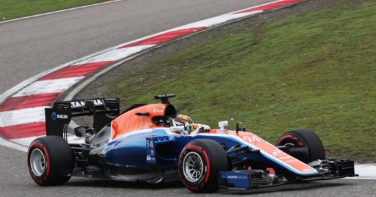 Manor ma kupca