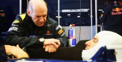 Newey: Webber lepszy od Vettela w wyczuciu bolidu