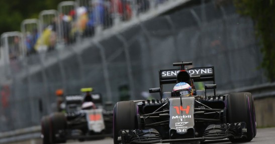 Alonso nie boi się Vandoorne'a