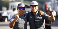 Fernando Alonso i Stoffel Vandoorne