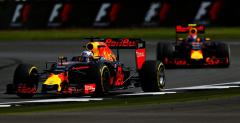 Ricciardo podglda styl jazdy Verstappena