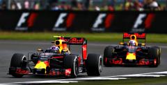 Ricciardo o Verstappenie: Jest nerdem wyścigowym Ricciardo o Verstappenie: Jest nerdem wyścigowym