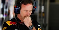 Christian Horner by kandydatem do zastpienia Hauga w Mercedesie