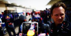 Red Bull: Ricciardo jest prawdziwym racerem