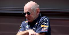 Newey: Vettel czasami popenia gupie bdy w ferworze walki