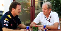 Red Bull nie zastpi Neweya konstruktorem bolidw F1 z innego zespou