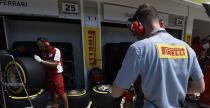 Webber murem za Vettelem w sprawie krytyki opon Pirelli