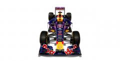 Red Bull pokaza wycigowe malowanie bolidu
