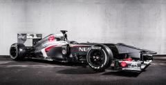 Sauber pokaza bolid na sezon 2013. Zobacz zdjcia zrobionego na szaro modelu C32