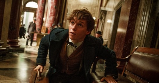 Fantastyczne zwierzęta i jak je znaleźć