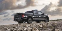 Ford F-150 Police Responder