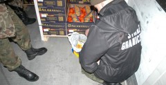 Cztery dni w chodni z pomaraczami: zatrzymanie afgaczyka