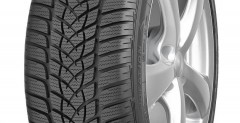 Goodyear UltraGrip Performance 2