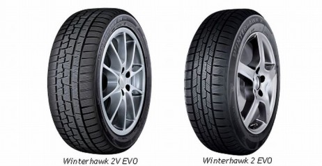 Bridgestone Winterhawk 2(V) EVO