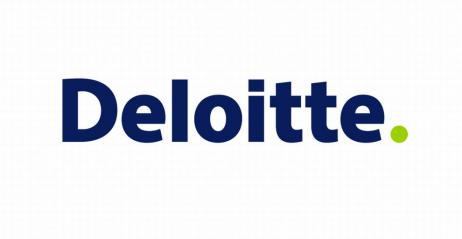 Firma Deloitte - auto analizy