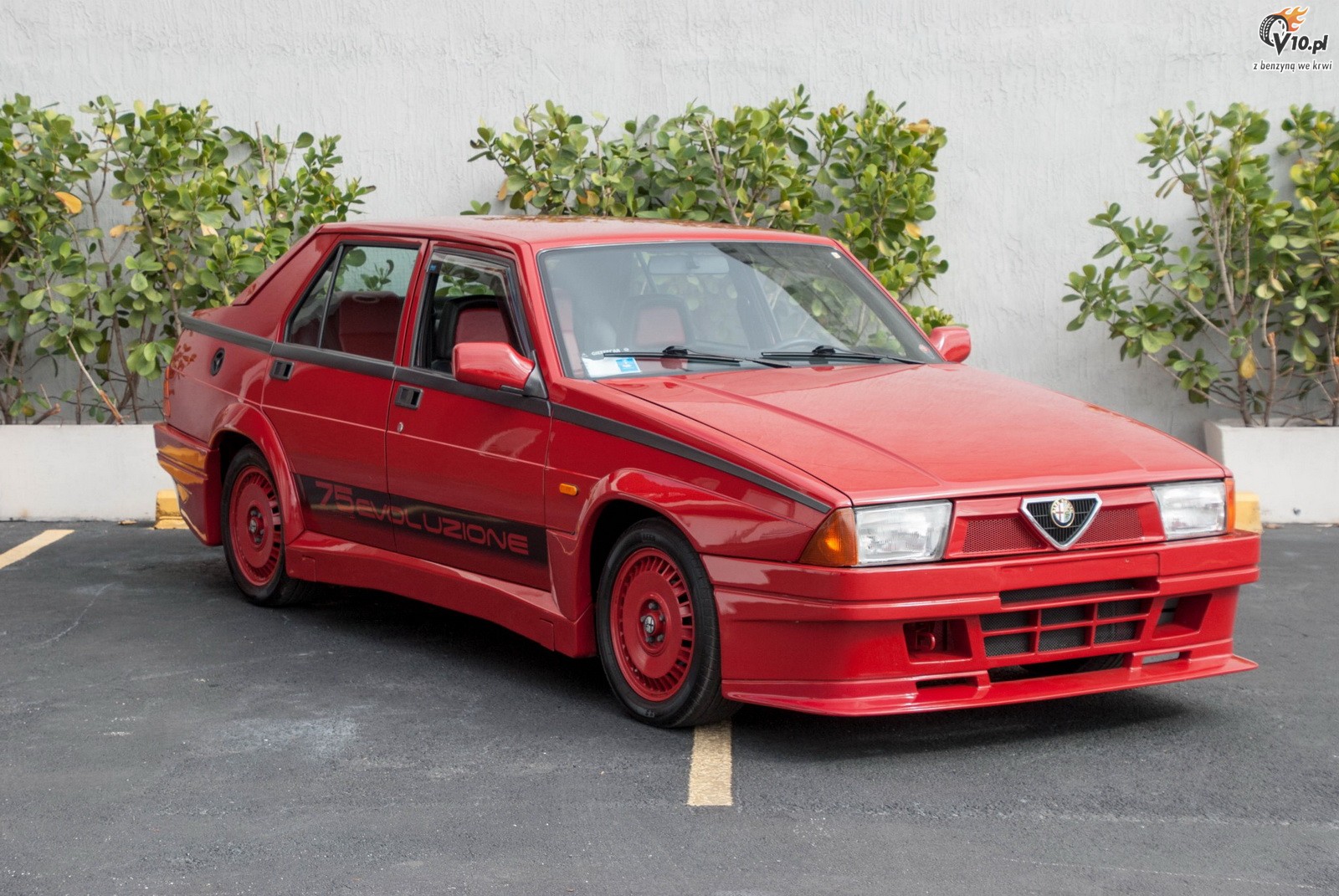 Alfa Romeo 75 Turbo Evoluzione