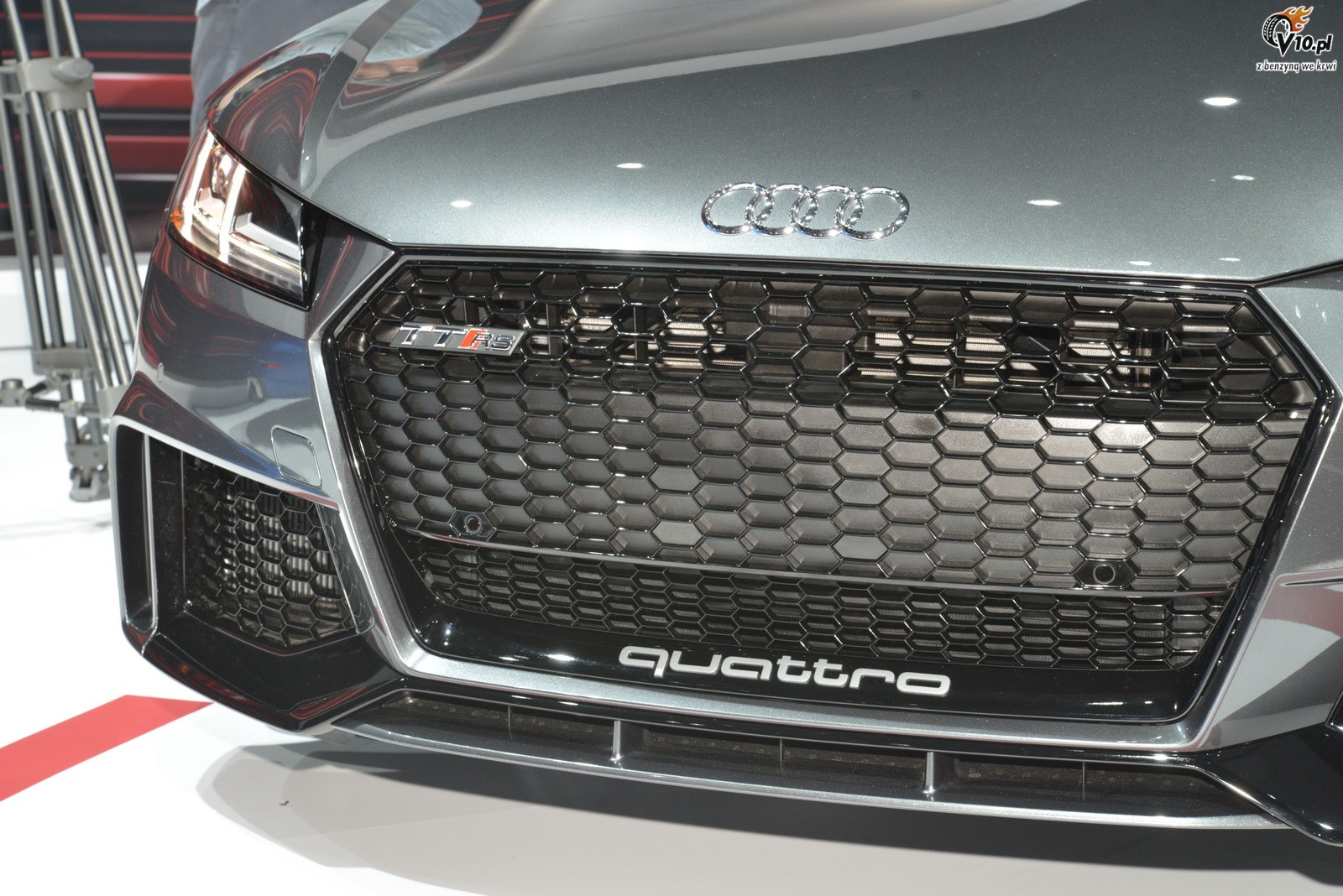 Audi Sport