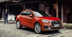 Audi Q2 L