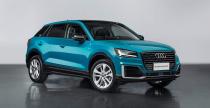 Audi Q2 L