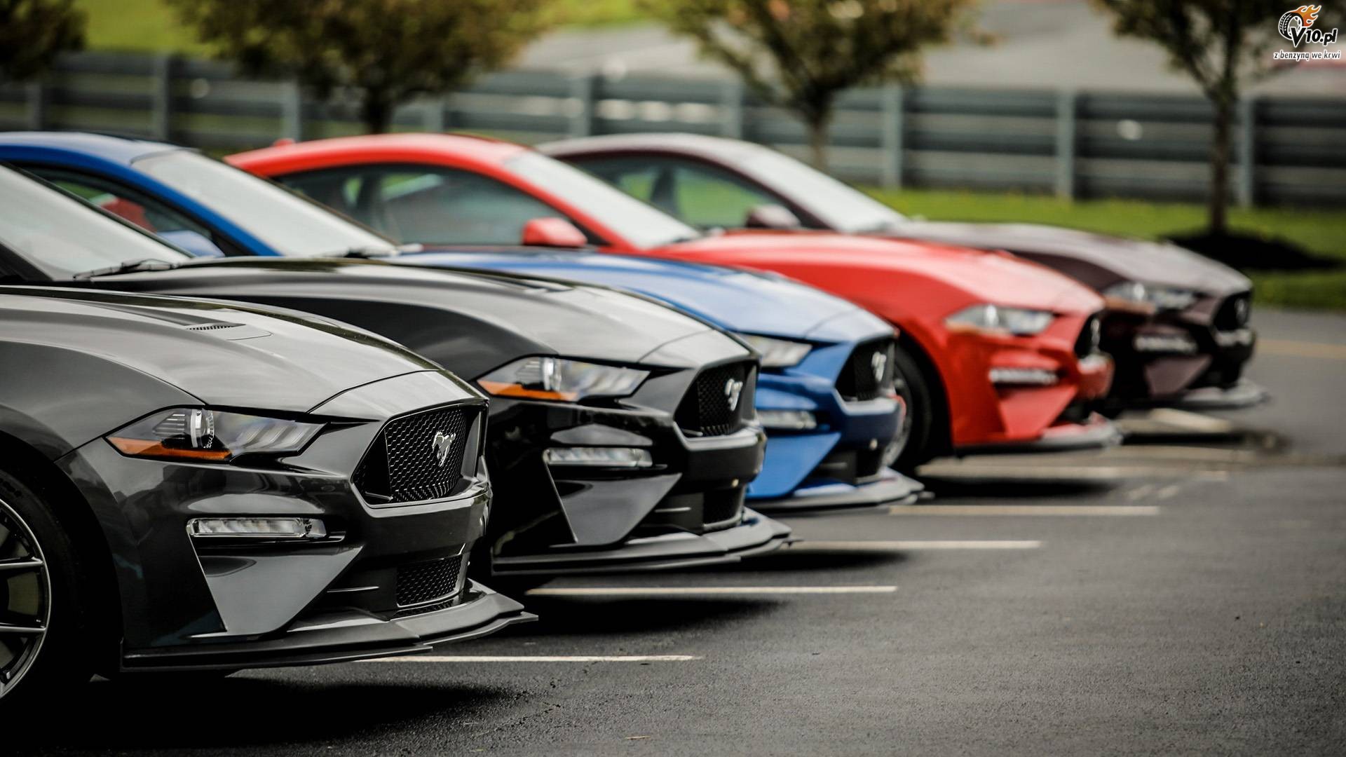 Ford Mustang GT Performance Package