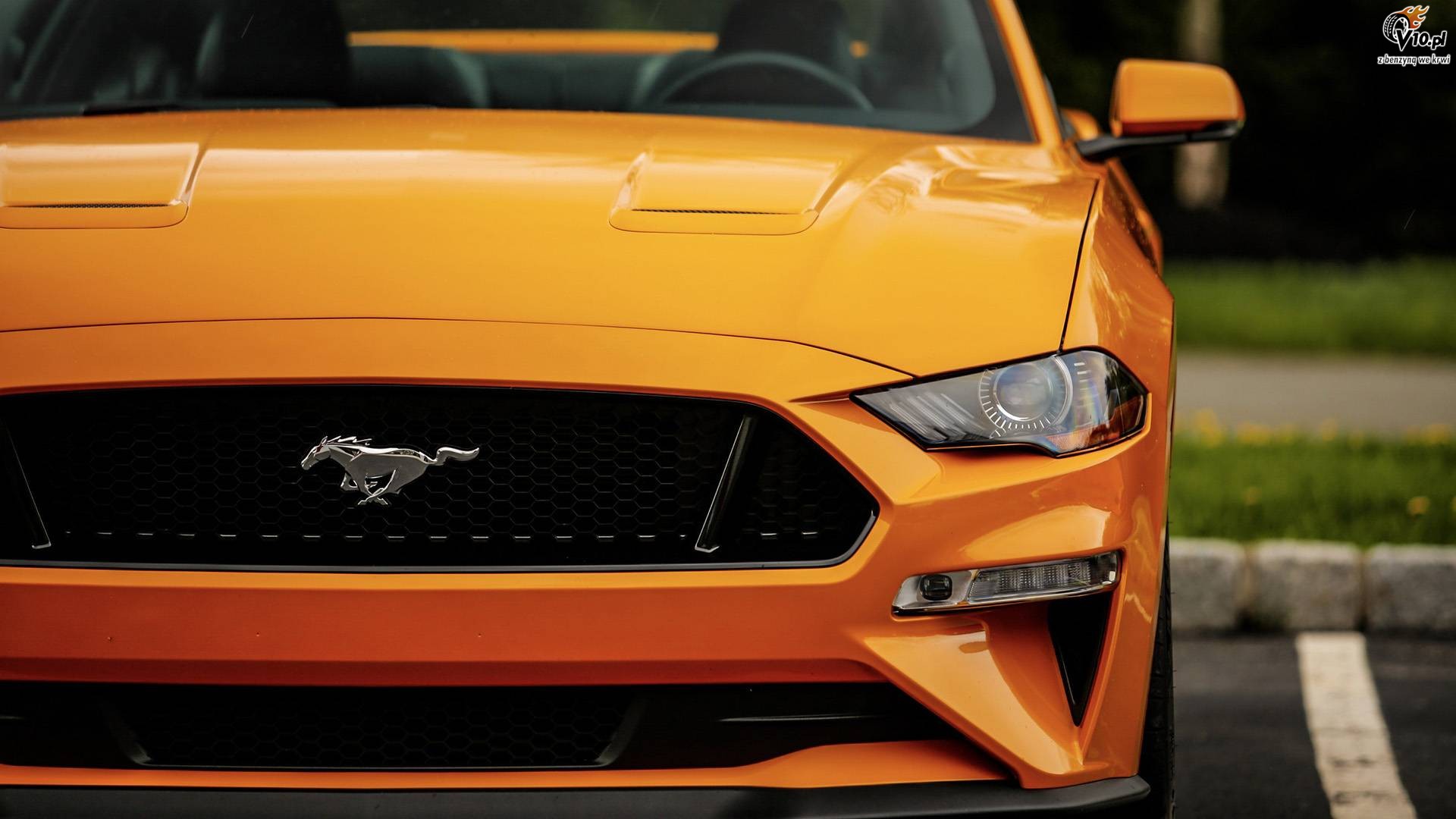 Ford Mustang GT Performance Package