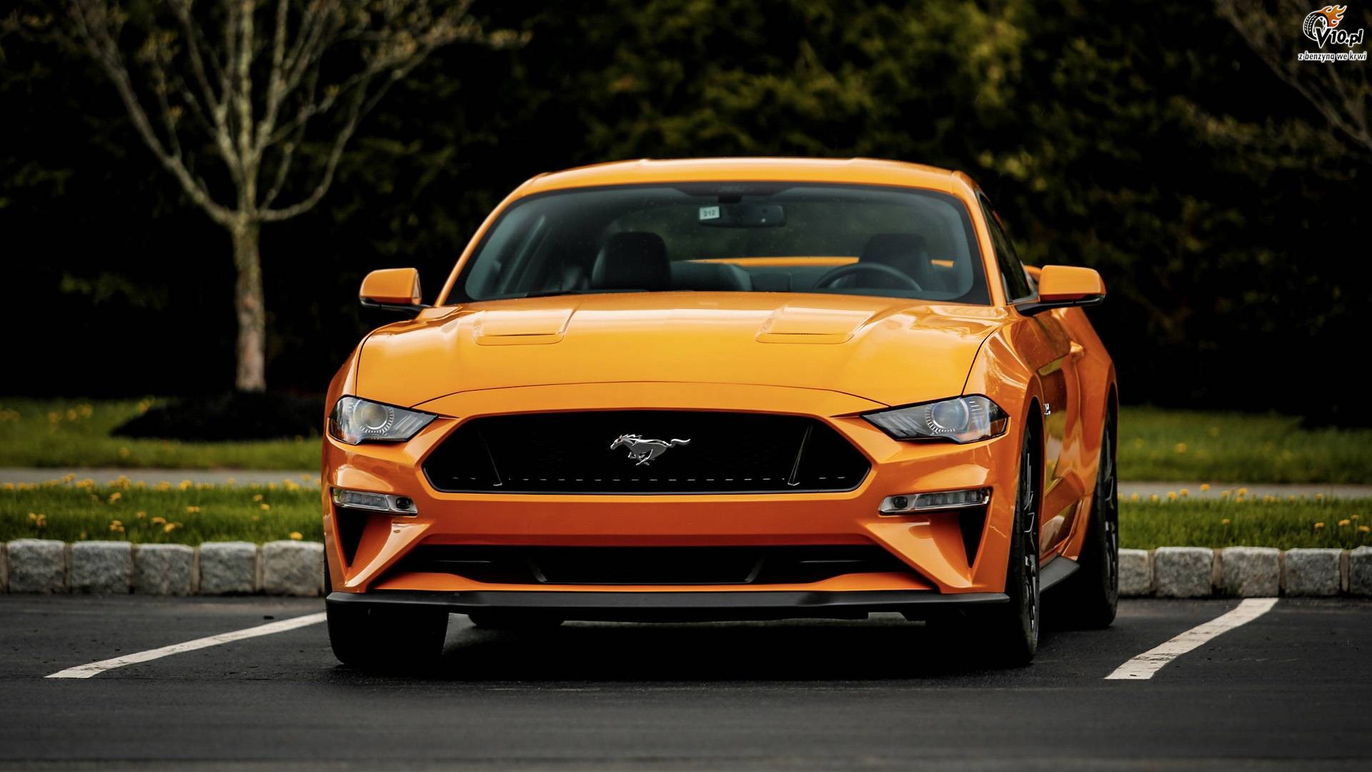 Ford Mustang GT Performance Package