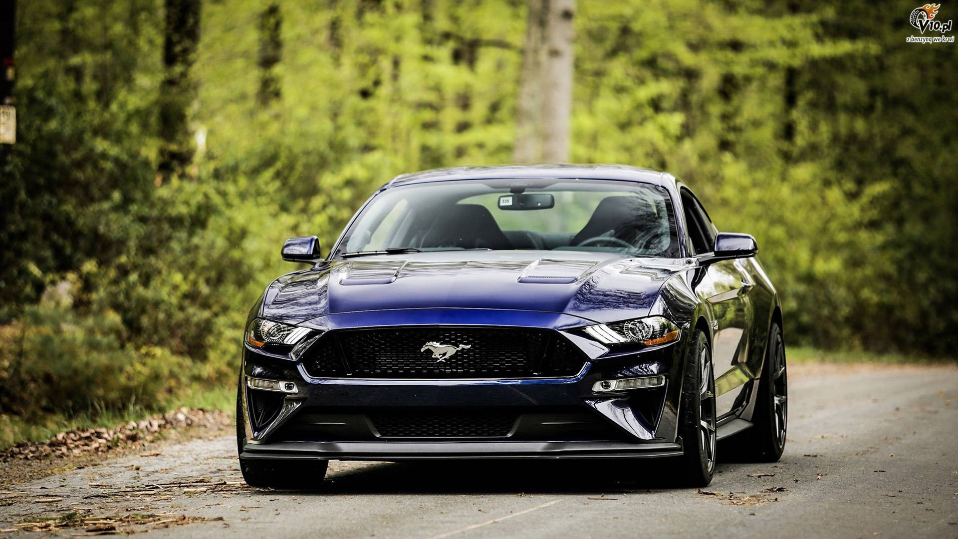 Ford Mustang GT Performance Package