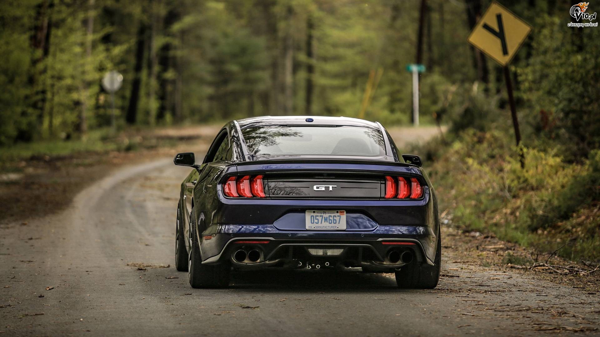 Ford Mustang GT Performance Package