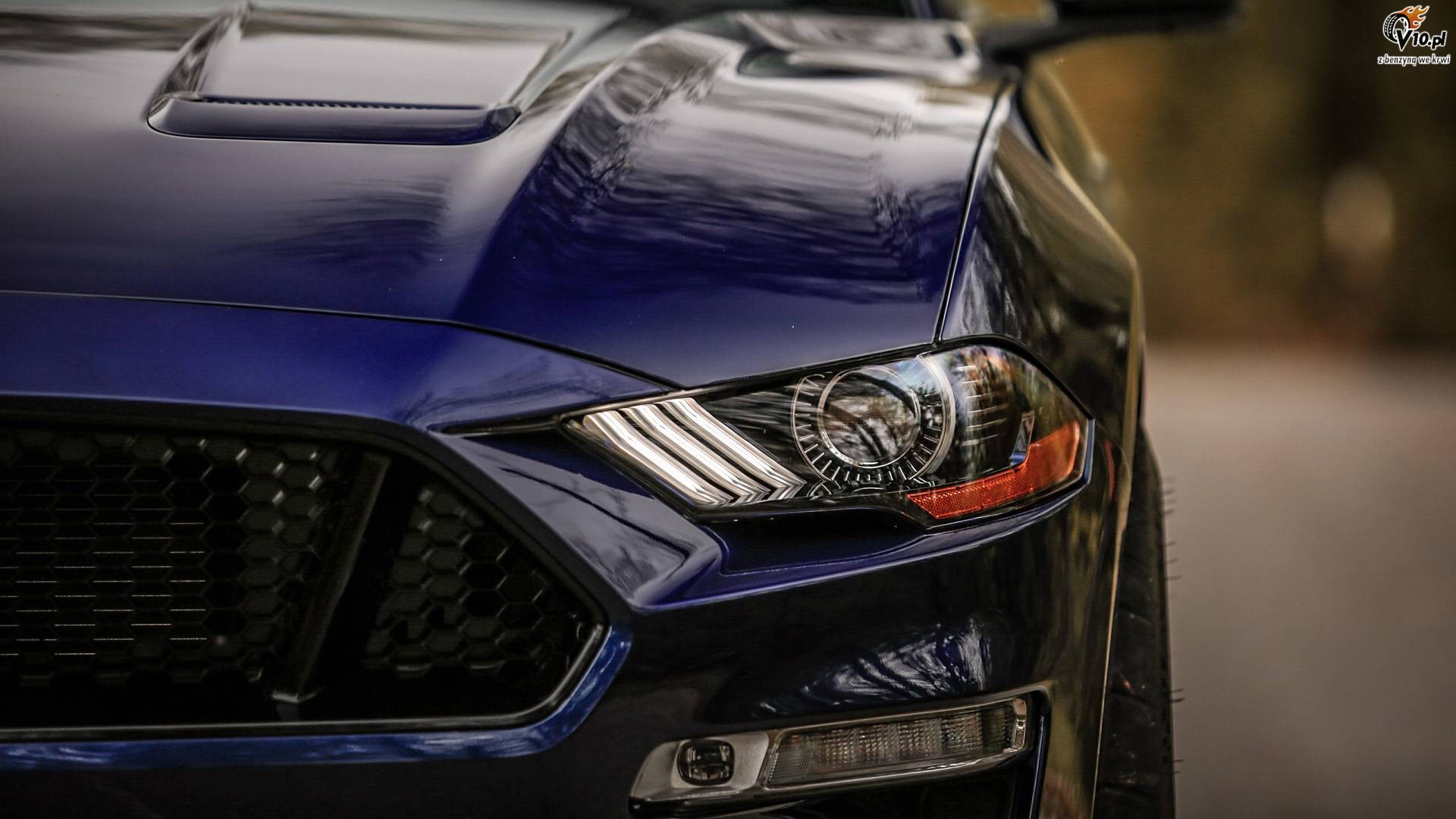 Ford Mustang GT Performance Package