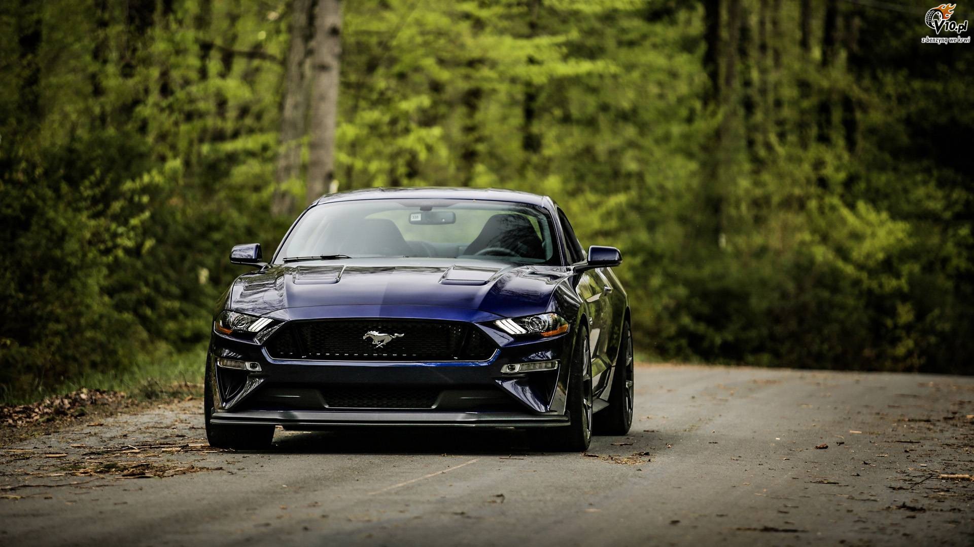 Ford Mustang GT Performance Package