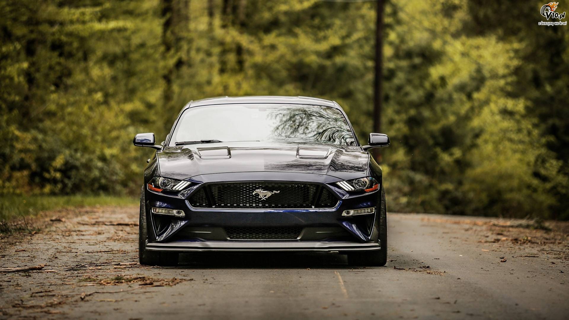 Ford Mustang GT Performance Package