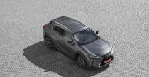 Lexus UX250h