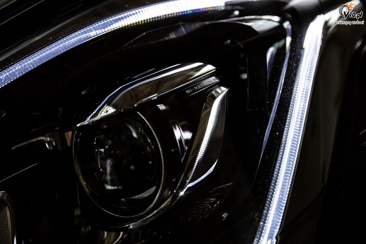 MS-RT Ford Transit Custom