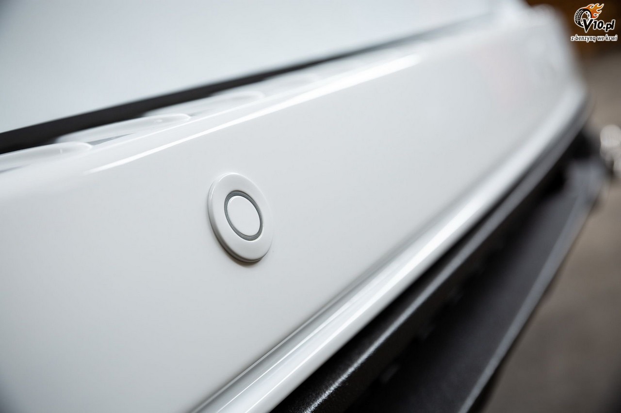 MS-RT Ford Transit Custom