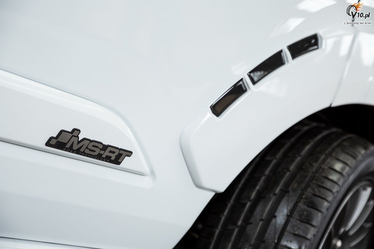 MS-RT Ford Transit Custom